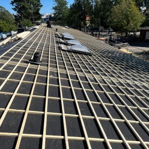 PHOTO-2022-08-26-16-10-31-1